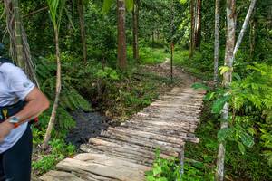 BIB: 
                            <button type="button" onclick="openModal(21893048)" class="btn btn-primary btn-sm float-right btn-popup" data-toggle="modal" data-target=".modal-high-quality">
                        <i class="fas fa-shopping-cart"></i> Add to Cart
                    </button>
                                            <button type="button" onclick="isThisMe(21893048, true)" class="btn btn-success btn-sm float-right btn-popup btn-isme hidden" data-toggle="tooltip" data-placement="bottom" title="นี่คือรูปของคุณใช่ไหม คลิกที่นี่เพื่อเอาเข้าอัลบั้ม">
                        <i class="fas fa-plus"></i> Add to album
                    </button>
                    <button type="button" onclick="isThisMe(21893048, false)" class="btn btn-warning btn-sm float-right btn-popup btn-isnotme hidden">
                        <i class="fas fa-ban"></i> Remove from album
                    </button>